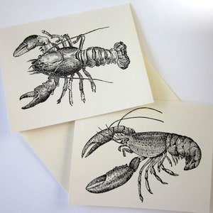 Cartes de notes de homard Ensemble de 10 avec enveloppes assorties
