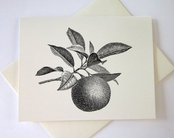 Orange Fruit Note Cards Stationery Set of 10 Cards in White or Light Ivory with Matching Envelopes