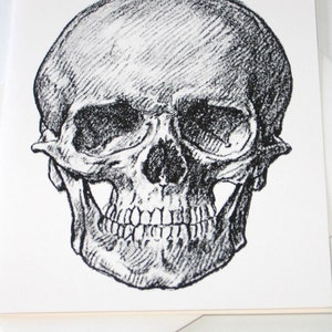 Skull Note Cards Set of 10 with Matching Envelopes image 2