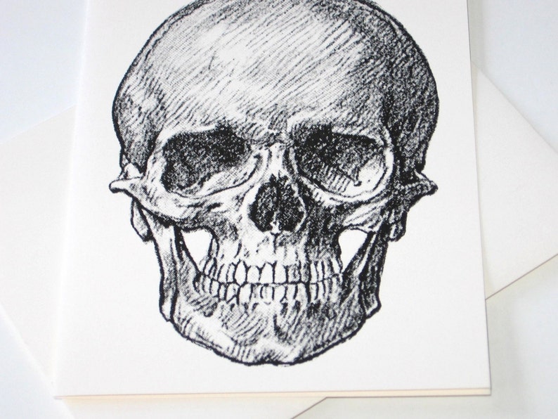 Skull Note Cards Set of 10 with Matching Envelopes image 2