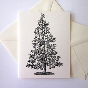 Partridge in a Pear Tree Note Cards Set of 10 with Matching Envelopes