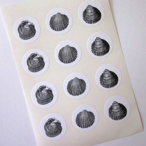Shell Stickers One Inch Round Seals