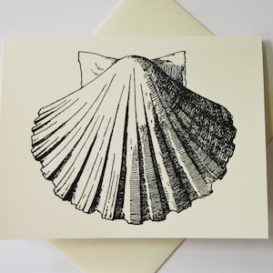 Clam Shell Note Cards Set of 10 with Matching Envelopes