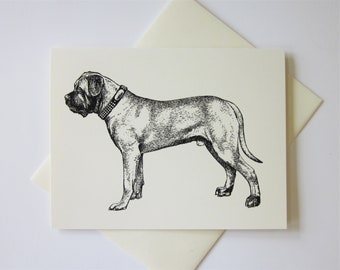 Mastiff hundkort set med 10 i vitt eller ljus elfenben med matchande kuvert