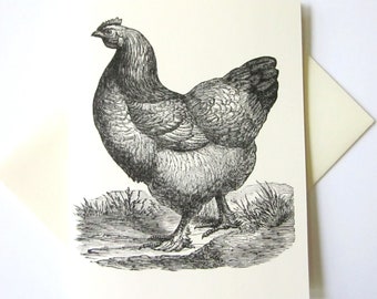 Cartões de notas de galo de frango, conjunto de 10 cartões em branco ou marfim claro com envelopes correspondentes