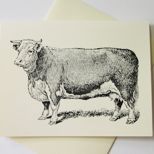 Cow Note Cards Stationery Set of 10 Cards in White or Light Ivory with Matching Envelopes