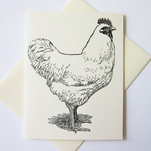 Chicken Note Cards Papeterie Ensemble de 10 cartes
