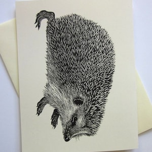 Conjunto de 10 cartões de papelaria Hedgehog Woodland com envelopes correspondentes