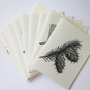 Pinecone Note Cards Set of 10 with Matching Envelopes