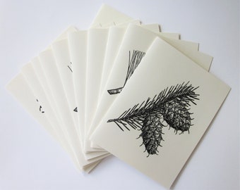 Pinecone Note Cards Ensemble de 10 avec enveloppes assorties