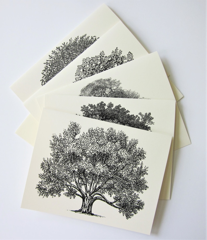 Tree Note Card Set of 10 in White or Light Ivory with Matching Envelopes 5 Images Oak Tree Stationery image 4