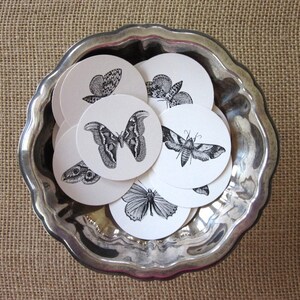 Moth Butterfly Tags Round Paper Gift Tags Set of 10