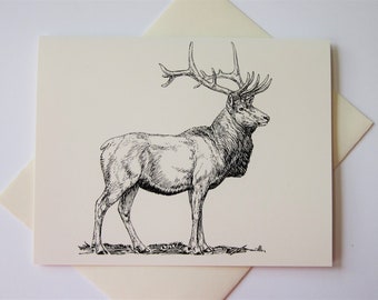 Elk Deer Note Cards Set of 10 with Matching Envelopes