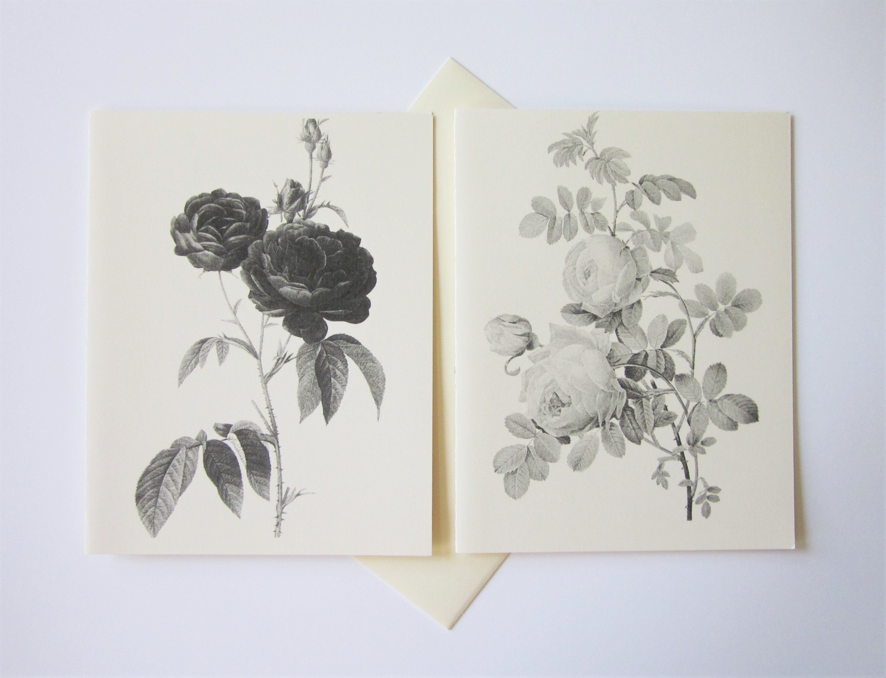 Rose Flower Floral Note Cards Stationery Set of 10 Cards in White or ...