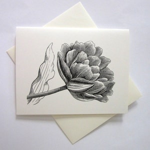 Tulip Flower Note Cards Papeterie Ensemble de 10 cartes en blanc ou ivoire clair avec enveloppes assorties