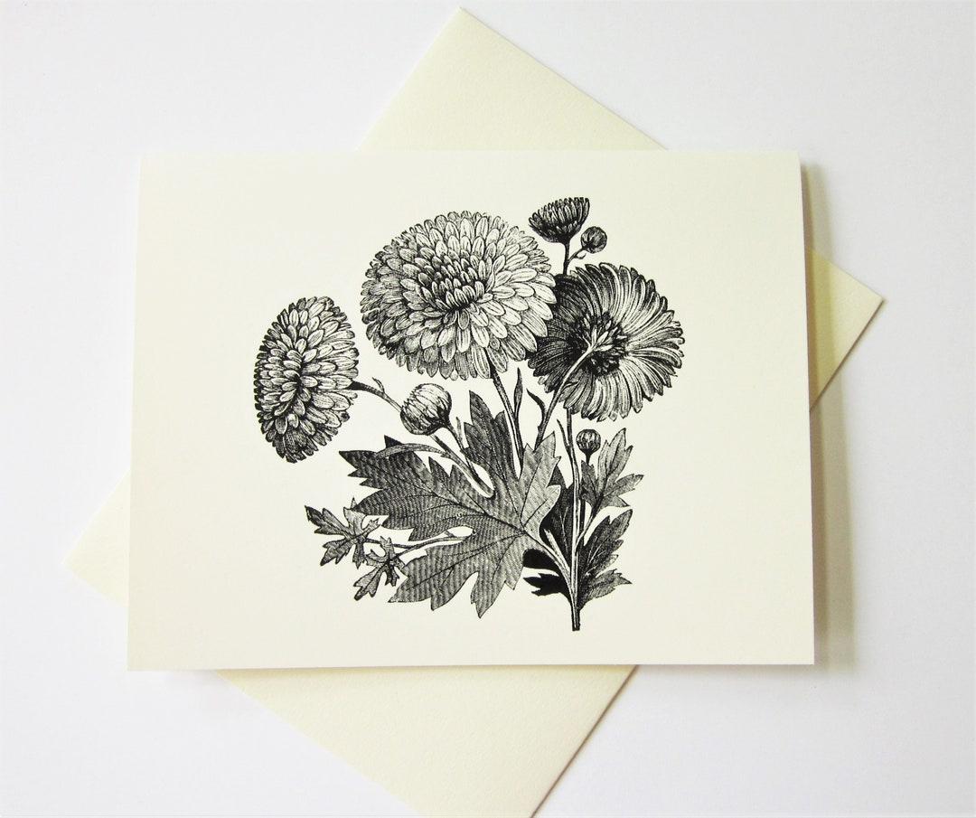 Chrysanthemum Flower Note Cards Set of 10 With Matching Envelopes - Etsy