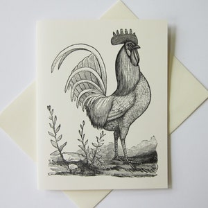 Cartes de note de coq de poulet Ensemble de papeterie de 10 cartes en ivoire blanc ou léger avec enveloppes assorties