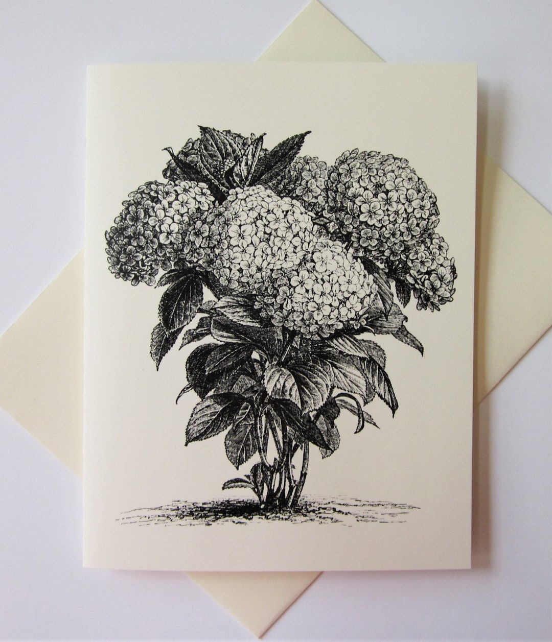 Hydrangea Flower Note Cards Set of 10 With Matching Envelopes