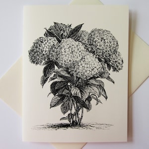 Hydrangea Flower Note Cards Set of 10 with Matching Envelopes