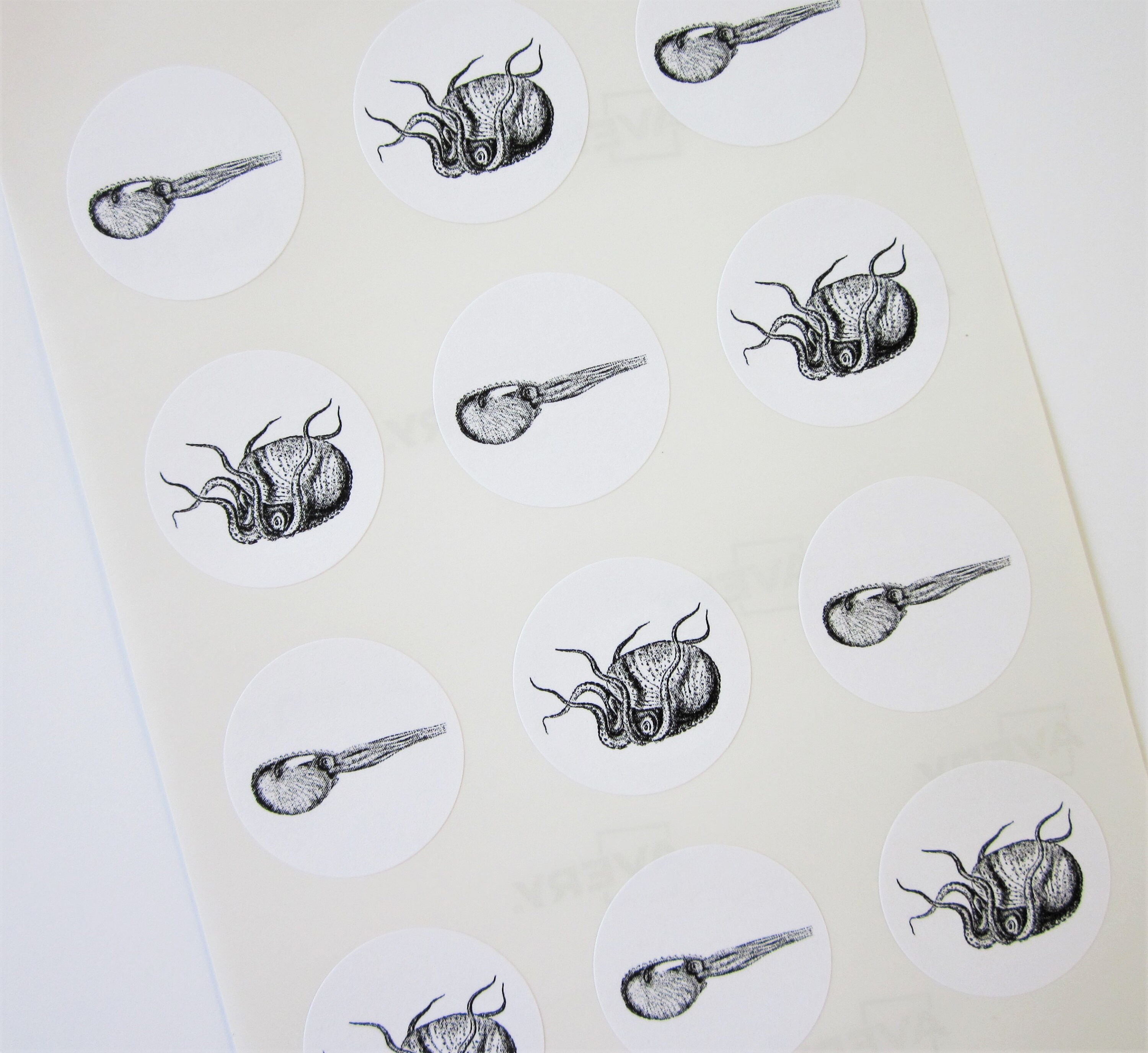 Cuttlefish Stickers One Inch Round Seals | Etsy