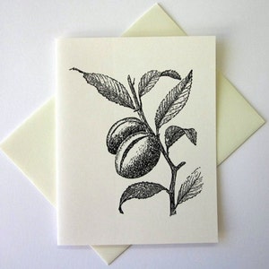 Almond Plant Note Cards Stationery Set of 10 Cards with Matching Envelopes image 1