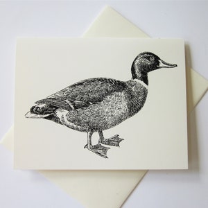 Mallard Duck Note Cards Papeterie Ensemble de 10 cartes en ivoire blanc ou léger avec enveloppes assorties