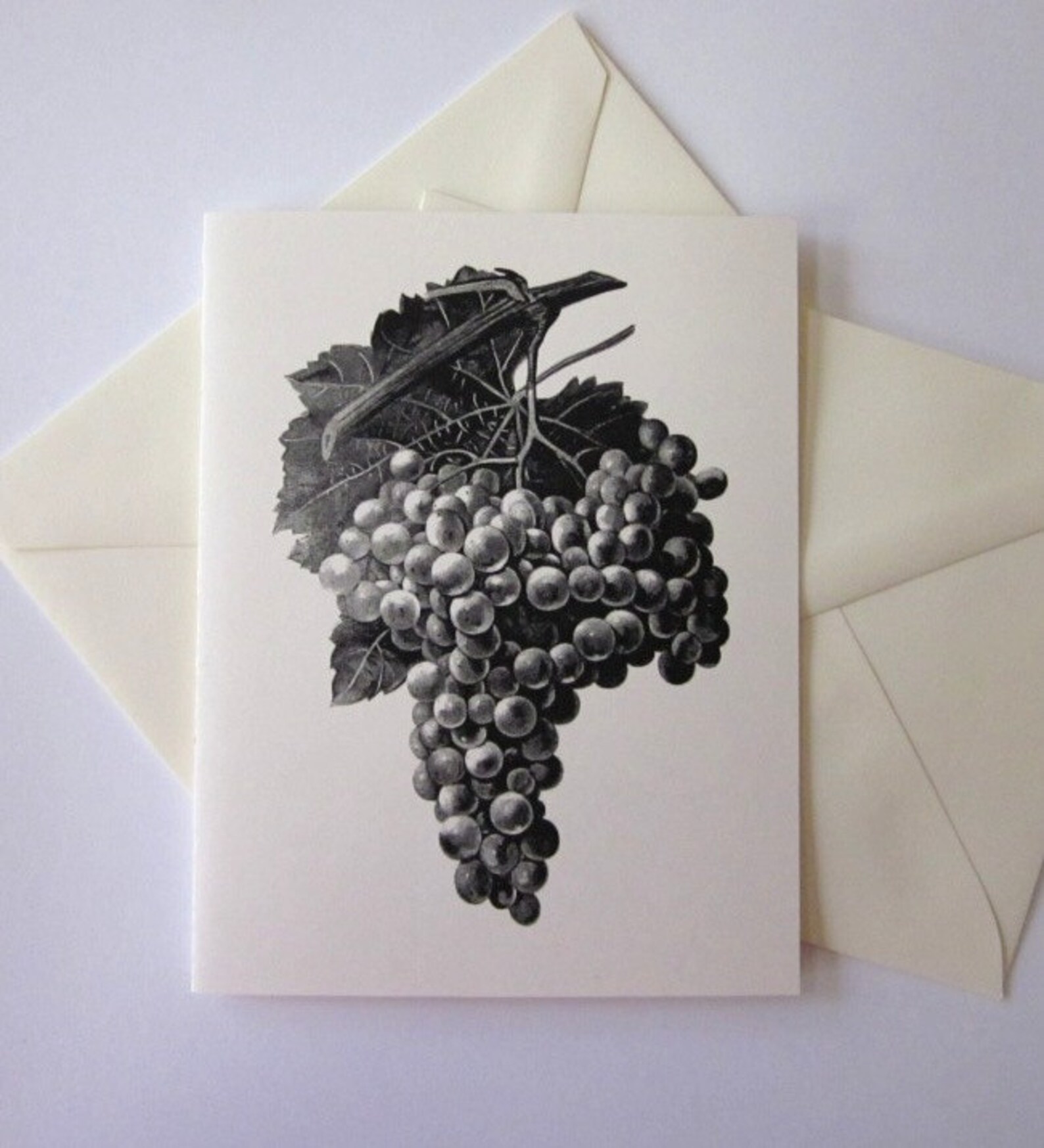 Grapes Note Cards Set of 10 With Matching Envelopes Etsy