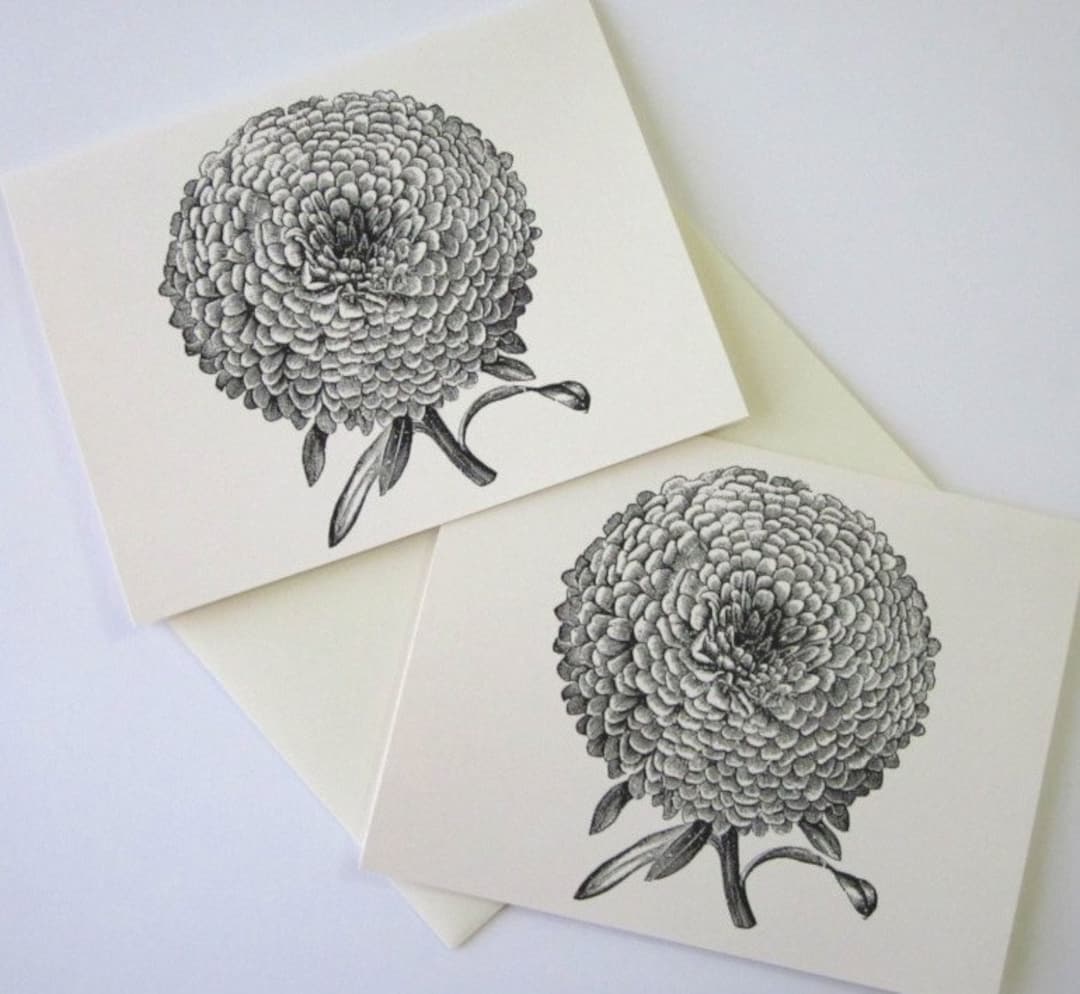 Aster Mum Flower Note Cards Stationery Set of 10 Cards in White or ...