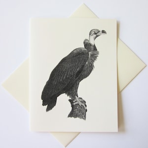 Vulture Note Cards Set of 10 with Matching Envelopes
