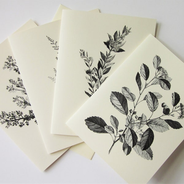 Ensemble de cartes de notes de branche botanique de 12 avec enveloppes correspondantes