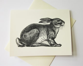 Rabbit Note Cards Papelería Set de 10 cartas en blanco o marfil claro con sobres a juego
