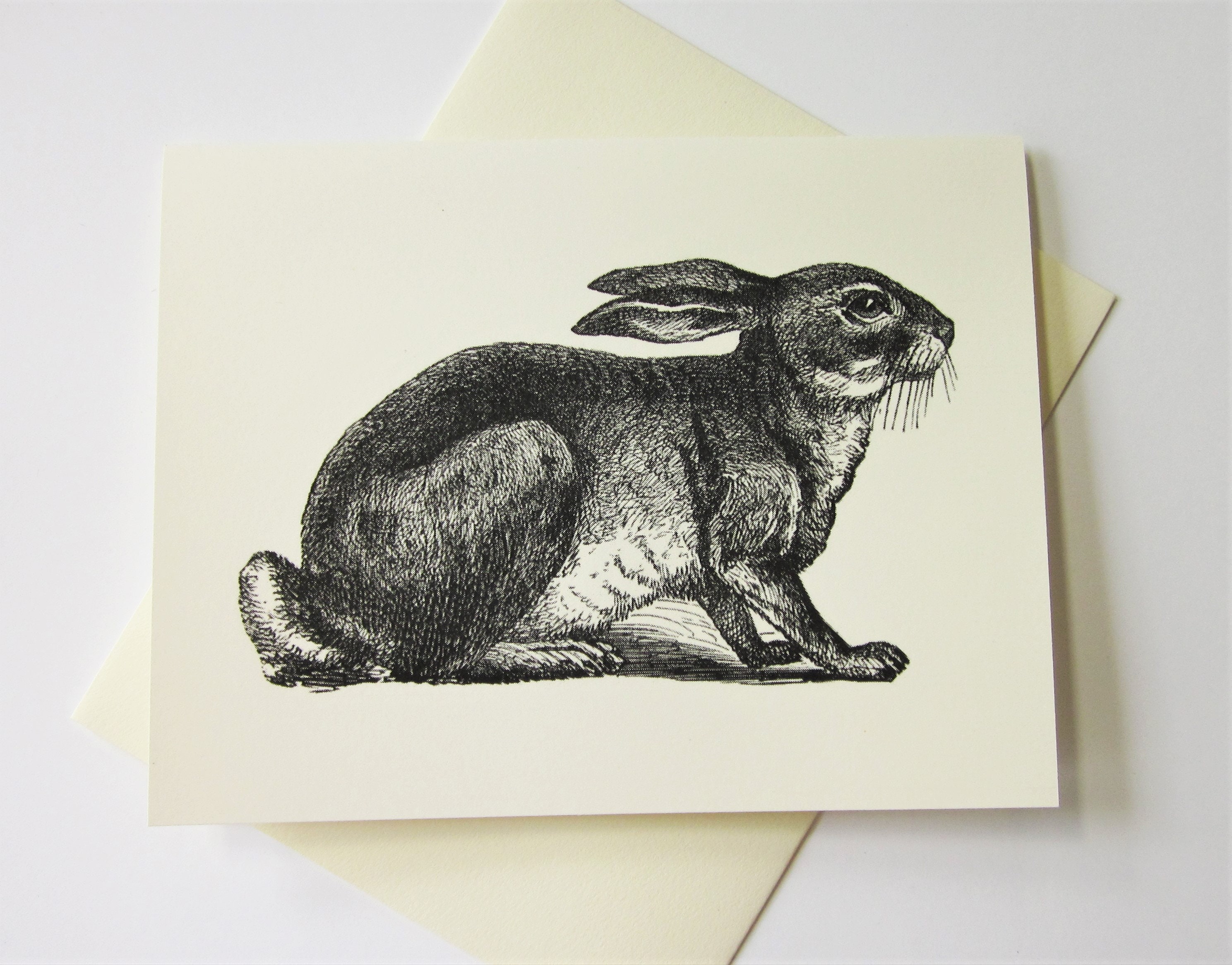 Rabbit Note Cards Stationery Set of 10 Cards in White or Light Ivory ...