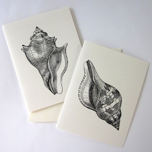 Conch Shell Note Cards Stationery Set of 10 Cards in White or Light Ivory with Matching Envelopes