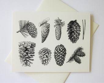 Pinecone Note Cards Ensemble de 10 avec enveloppes assorties