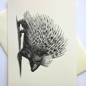 Porcupine Woodland Briefpapier Notitiekaarten Set van 10 met bijpassende enveloppen