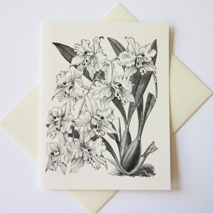 Orchid Flower Floral Note Cards Stationery Set of 12 Cards in White or Light Ivory with Matching Envelopes