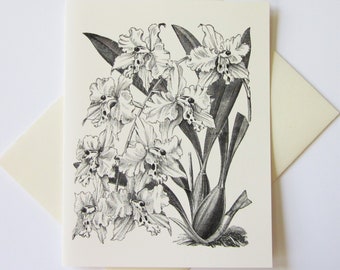 Orchid Flower Floral Note Cards Stationery Set of 12 Cards in White or Light Ivory with Matching Envelopes