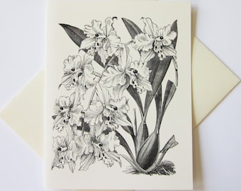 Orchid Flower Floral Note Cards Stationery Set of 12 Cards in White or Light Ivory with Matching Envelopes