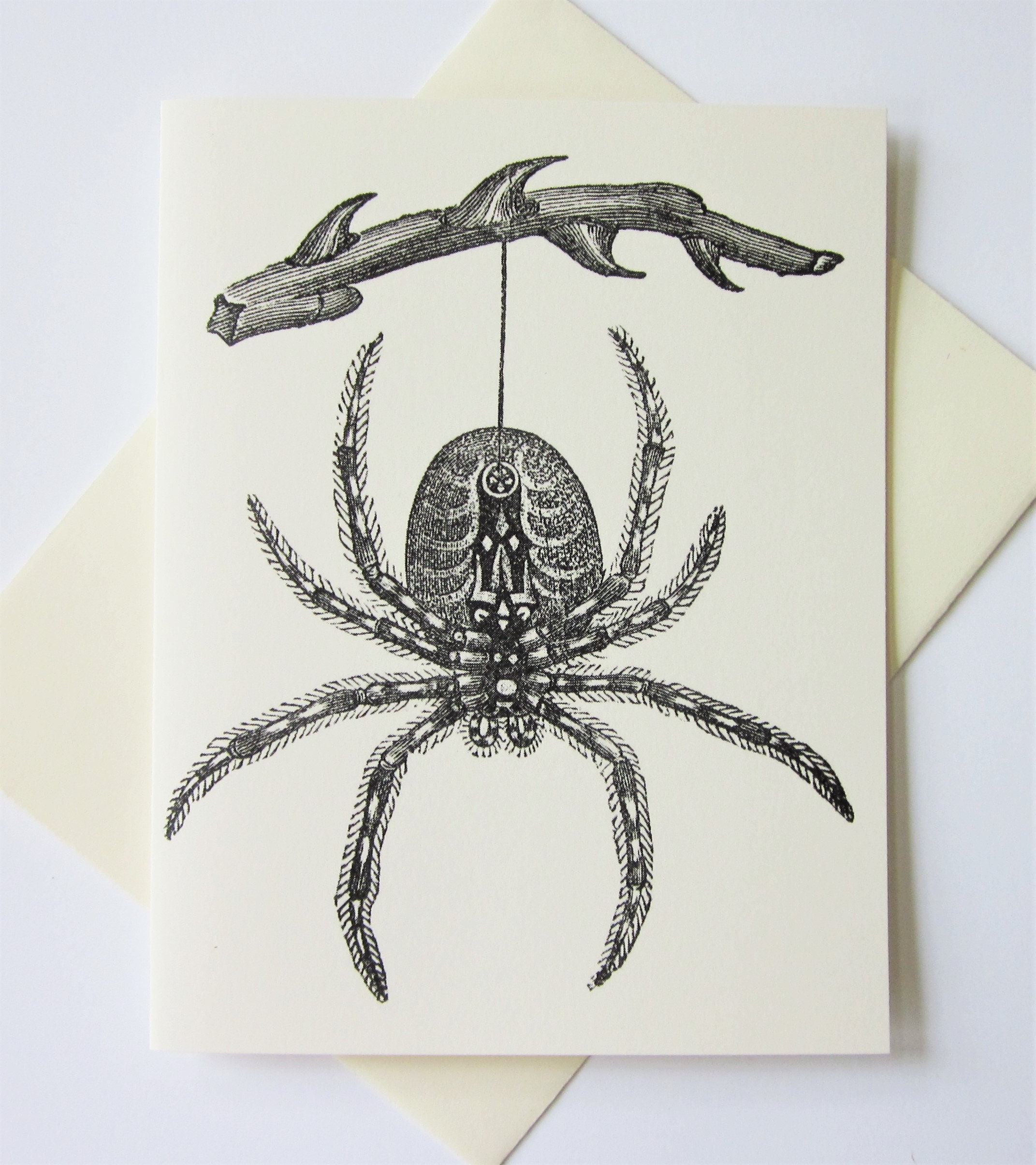 Spider Note Example Spider Note Cards Set of 10 in White or Ivory With Matching Envelopes ...
