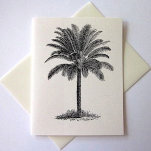 Juego de tarjetas de notas de palmera de 10 con sobres a juego