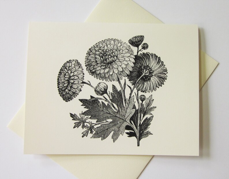 Chrysanthemum Flower Note Cards Set of 10 with Matching | Etsy