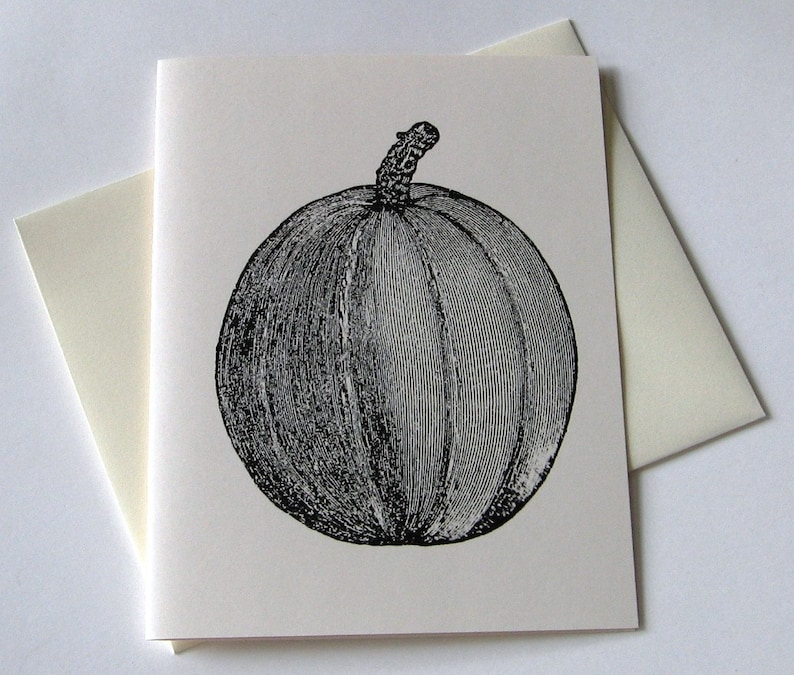 Pumpkin Folded Note Card Set of 10 in White or Ivory with Matching Envelopes image 1