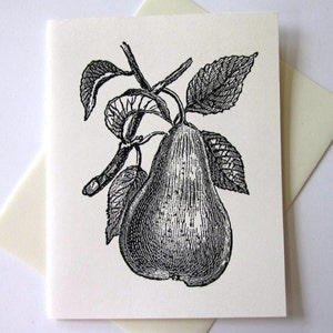 Pear Fruit Note Cards Briefpapier Set van 10 kaarten in wit of licht ivoor met bijpassende enveloppen