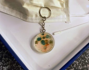 Mould and bacteria petri dish keychain