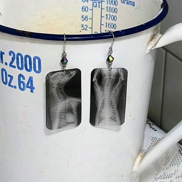 Dog x-ray earrings