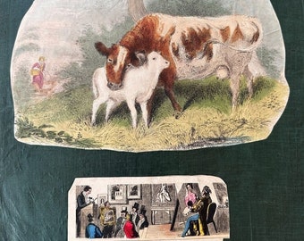 One Scrapbook Page Victorian Antique England Fabric Scraps Cows  Vilers-Bocage