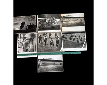 Horse Racing Hiahleah Park Vintage B/W   Photos 14 x 11 Newspaper Photographer