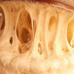 Sauerteig-Starter (getrocknet) • Norwegische Wikinger Erbstückkultur • Biologischer, nordischer Sauerteig • Einfach zu aktivieren