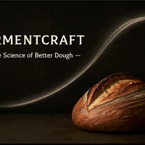 Mejorador de pan FermentCraft™ / Pan de levadura más esponjoso con cultivo de masa madre real / 60 g de Noruega