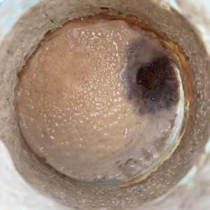 Starter Rescue Kit – Bring Your Sourdough Back to Life!